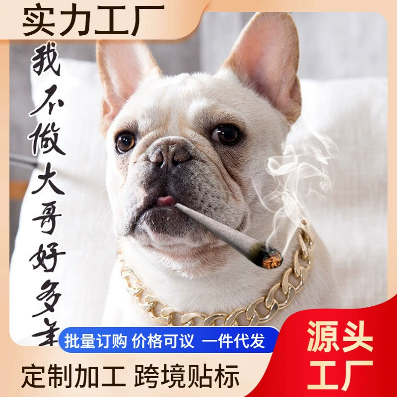 Новый Теди Баго Борьба Собака Хулиган Пластиковые золотые цепи Малый и средний собачий ошейник Аксессуары для домашних животных ожерелье