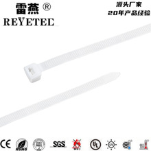 雷燕科技尼龙扎带双66 3*100长 100条白色JKR-NL3100尼龙扎带
