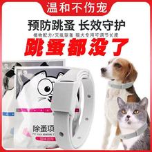 宠物项圈可水洗猫咪项圈带调节扣狗狗颈圈宠物饰品结实耐用猫项圈