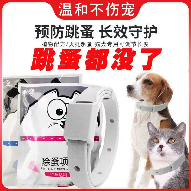宠物项圈可水洗猫咪项圈带调节扣狗狗颈圈宠物饰品结实耐用猫项圈