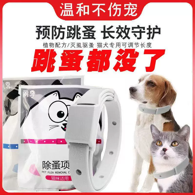 Ошейник для домашних животных, моющийся ошейник для кошек с регулировочной пряжкой, ошейник для собак, аксессуары для домашних животных, прочный и долговечный ошейник для кошек
