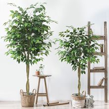 �羳�����ٗl�Ř������҃��̈��Ƶꙻ���b�����������߅�Ř�