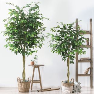 �羳�����ٗl�Ř������҃��̈��Ƶꙻ���b�����������߅�Ř�