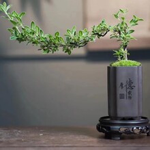 ��߅����ѩ����С���������Ϙ��͹��L��U���辰�����k���҃Ȼ���