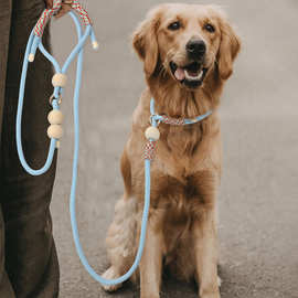厂家直供可调节宠物狗狗牵引绳尼龙大型小型犬遛狗绳手工编织狗绳