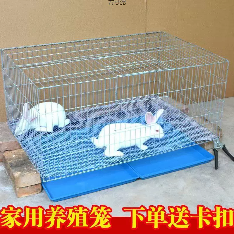 鸡笼兔笼鸽子笼大号鸡笼子家用大号兔子养殖笼鹌鹑笼工厂一件批发