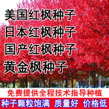 �����t���N�� �����N�Ӽ޽��ձ��t���N�� ��Ǘ������uצ���ľ