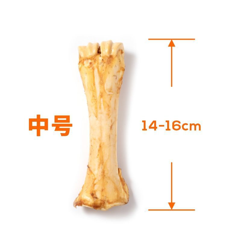 중형 쇠고기 뼈(소형견 및 중형견에게 적합)