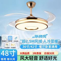 隐形风扇客厅餐厅吊灯卧室风力变频吊扇新款家用一体电扇静音蓝牙