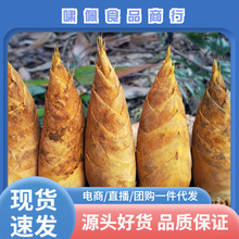 ���Ϯ������r���S�F�ڬF�l���S�������]�a��ֱ�l���Sһ�����lһ��