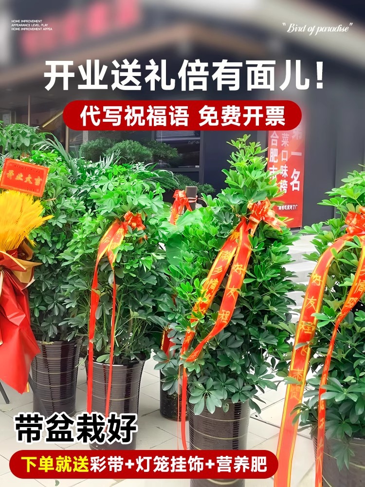 详情图