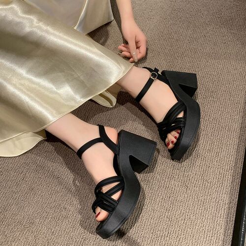 Stylish Women's Casual Waterproof Platform Wedge High Heels Summer New Trendy Rough Heel Roman Sandals