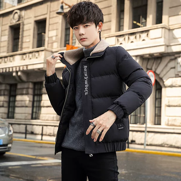 2026 New Winter Cotton Jacket for Men, Fashionable and Popular, Stand-up Collar, Windproof, Trendy Korean Style, Stylish Short Jacket for Male Students