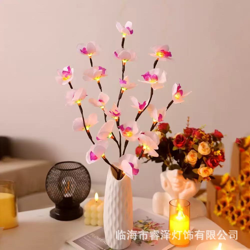 흰색 보라색 호접란