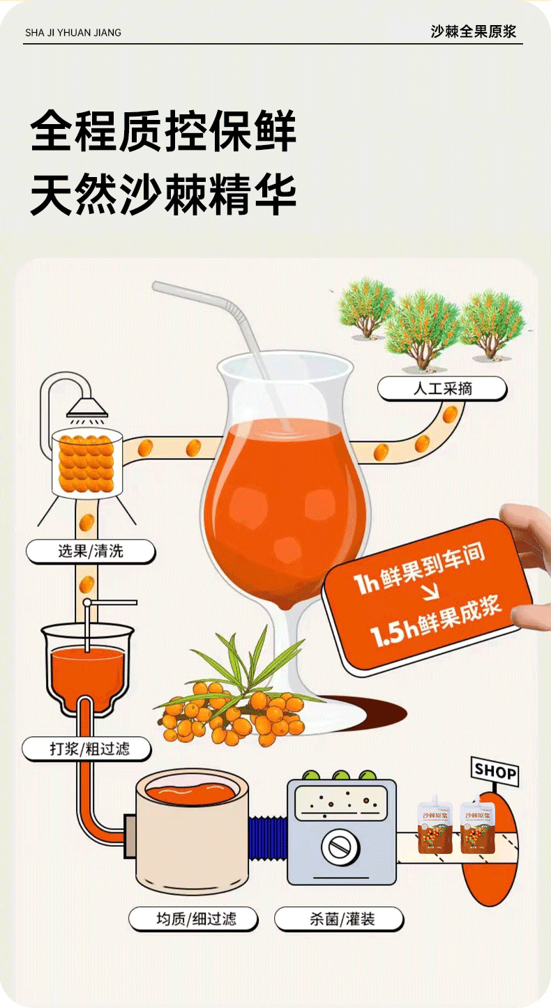 Sea Buckthorn Juice Puree 300ml Portable Spout Pouch Inner Mongolia Sour Berry Drink quality and texture