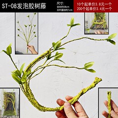 爬虫類の箱の木の藤の枝のトカゲは登ります。