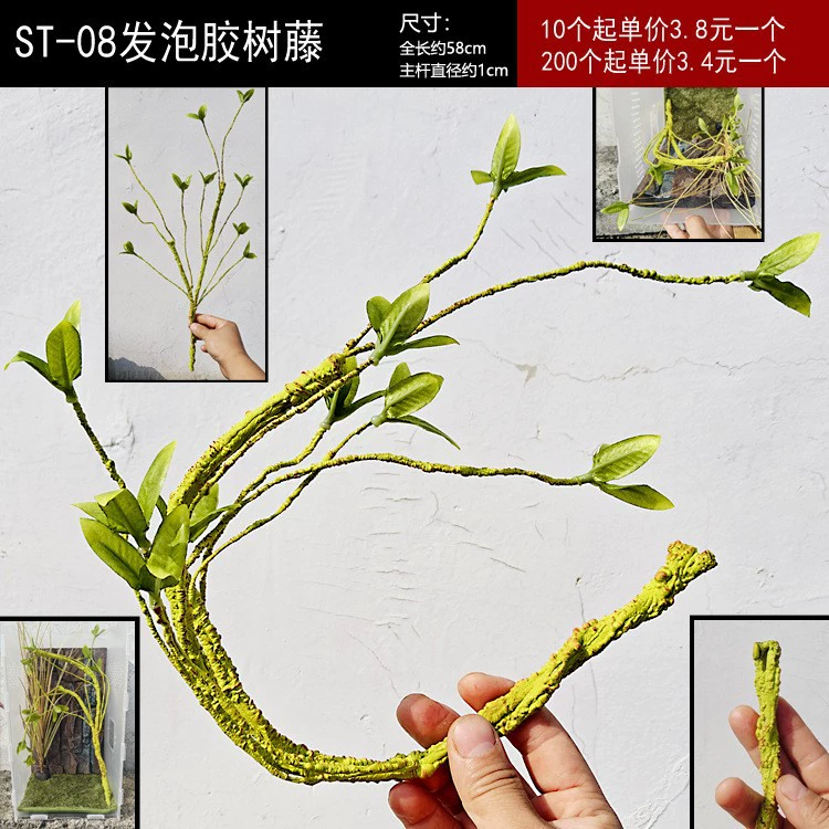 Рептилия ящерица ветвь дерева