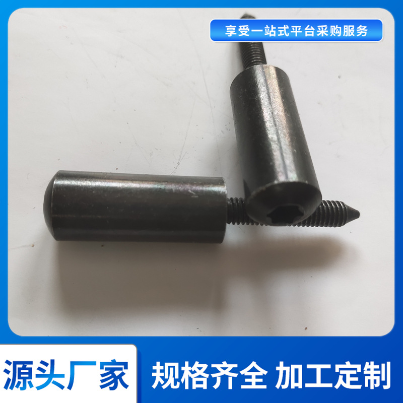 不锈钢扁心轴 带螺纹T型销轴DIN 1445 JIS /JASO C 610球头螺栓