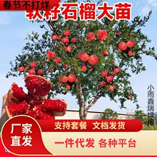 һlشʯͻ˹ܛѵͥԺӟoʯ