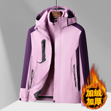 2025新款三合一男女情侣冲锋衣防风保暖可脱卸户外两件套外套定制
