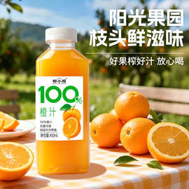 椰小帽橙汁450ml*15瓶橙汁果汁饮料无菌冷罐饮品