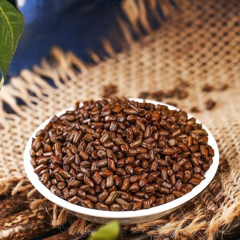 Cassia Seed Tea 500g Jue Ming Zi Stir Fried Herbal Tea for Daily Brewing in use