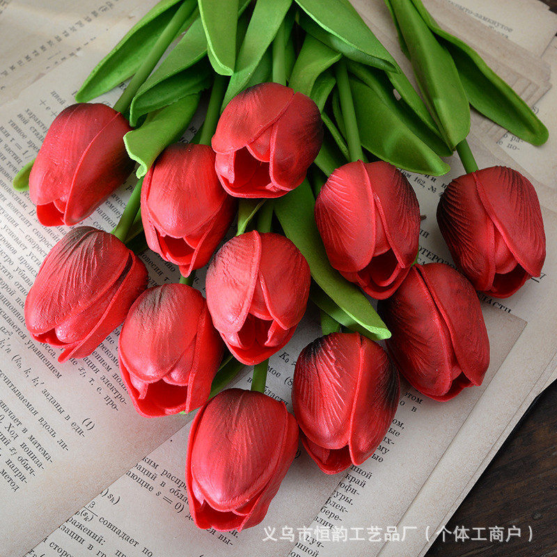 와인 레드
