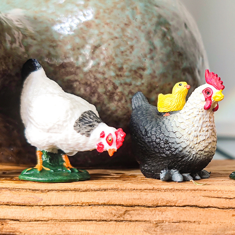 Venta caliente método antiguo de cultivo de peces adornos gallo junto al arroyo pollo jardín patio en maceta pecera paisaje acuático micro paisaje rocalla