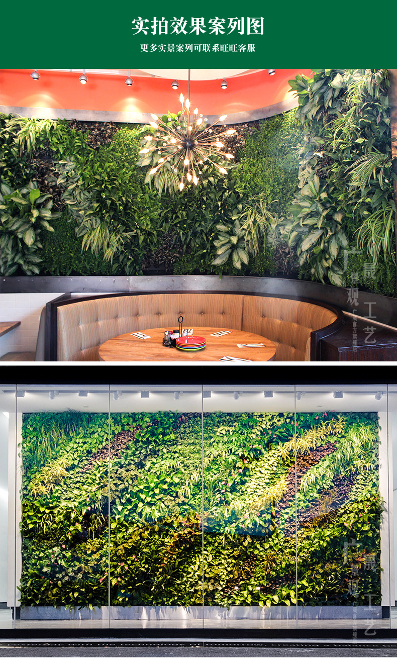 植物墙_13