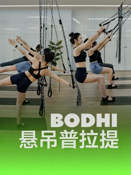 Bodhi Pilates Suspension Rope Four-Point Suspension Strap Universal Posture Shaping Training Equipment for Home and Gym Use