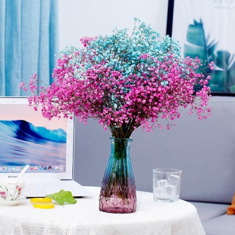 하늘색 + 장미빛 붉은 아기의 숨결 - 꽃병 없음