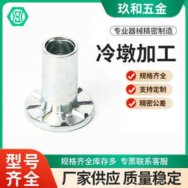 多工位冷镦 非标冷镦件 冷墩加工 异形冷镦五金配件加工来图定制