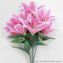 ����ٺϻ�9�^С���m��c�͏d�b[�żٻ����첼���F؛���l