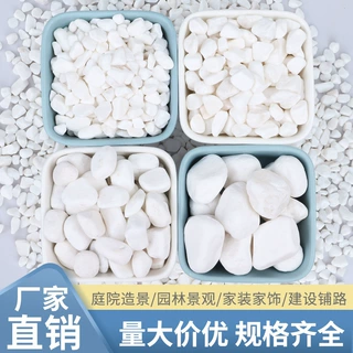 厂家直销雪花白白石子白色砾石鹅卵石庭院造景园林铺路汉白玉石头
