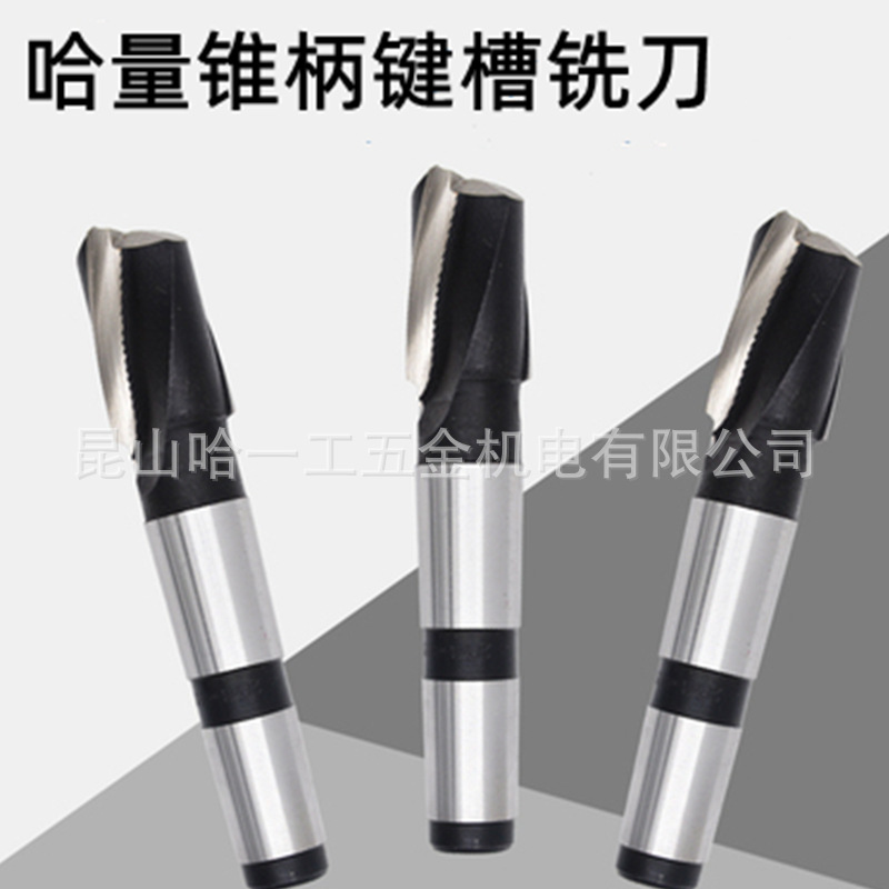 哈量锥柄键槽铣刀16 20 25 30 35 40mm锥柄2刃铣刀