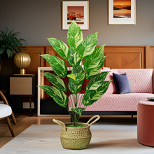 ��G�f����������� �羳�����ֲ���������ͼ��辰�Ҿ��b[��