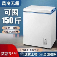 新款小冰柜家用冷冻冷藏两用卧式小型迷你商用大容量无霜保鲜冷柜