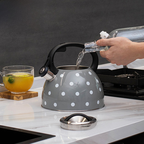 Cross-border gray dot whistling kettle, whistling water kettle, coffee sound water kettle 3L