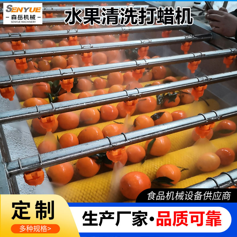 Factory direct supply of yellow peach cleaning machine