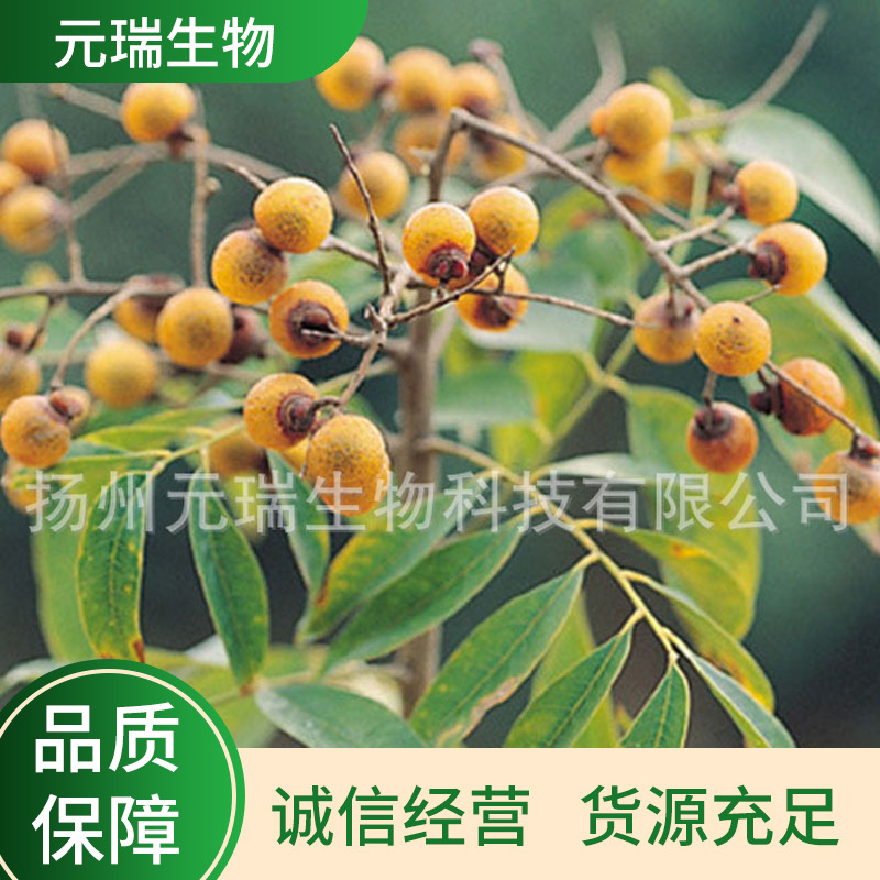 植物提取物无患子提取液手工皂中草药洗化用品原料无患子萃取液