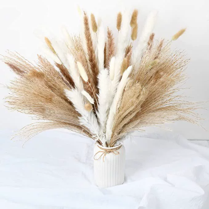 Organic set, wholesale, high-quality style
