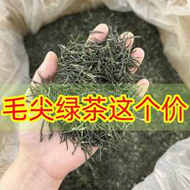 毛尖绿茶2026新茶叶正宗河南绿茶明前一级浓香型春茶散装茶叶500g