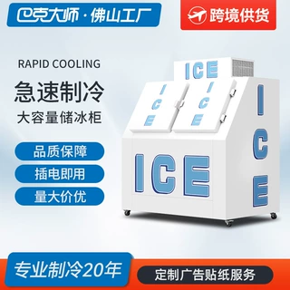 ETL认证储冰柜商用大容量室外冰柜冷藏冰块袋装速冻冷冻柜储冰机
