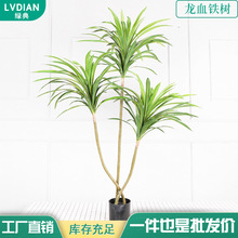 ���W�L����Gֲ��Ѫ��٘������쾰�[�������҃��b�����Ѫ��