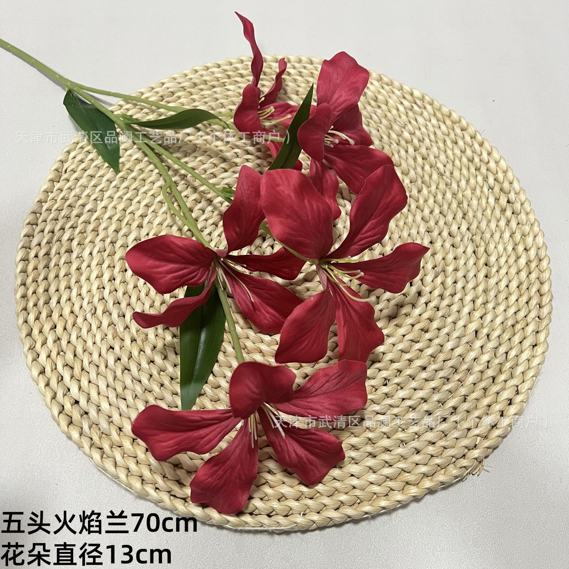 다섯 머리 불꽃 난초