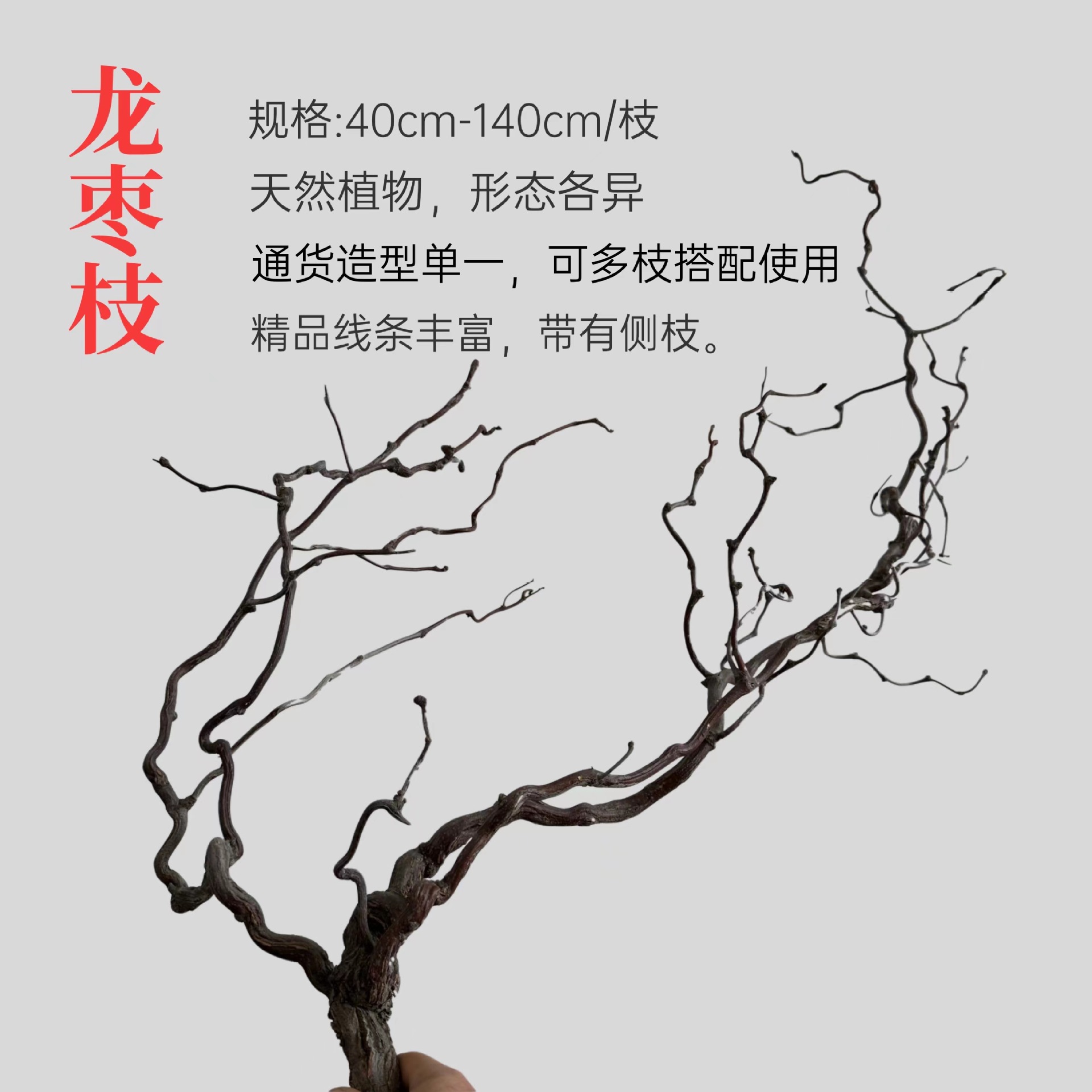 龙枣枝天然枯藤藤条软装装饰藤造型造景插花藤蔓树枝茶艺压花-阿里巴巴
