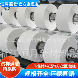 食品热轧短纤无纺布 茶叶茶包过滤材料 恒月股份出品