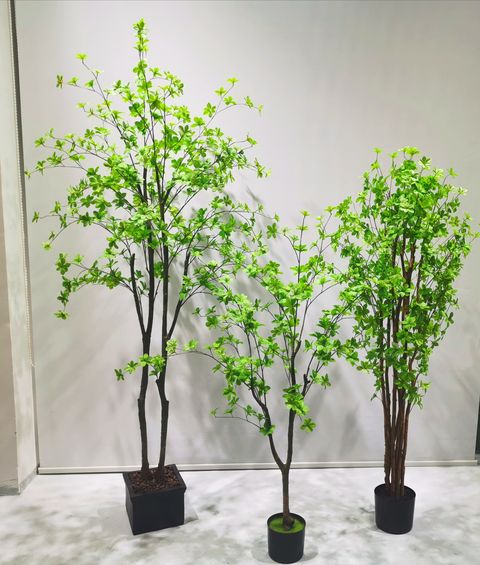 La fábrica se especializa en el suministro de productos de jardinería de plantas verdes