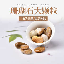 厂家供应 天然珊瑚玉大颗粒 水晶滚石 香薰扩香石 鱼缸盆栽装饰