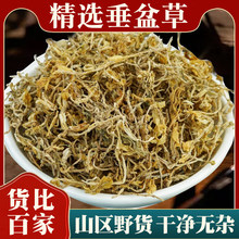 �������ș����Ʒ��ɽҰ�����r��؛�N����ݲ�Ĺ�Ч�c���ù�����